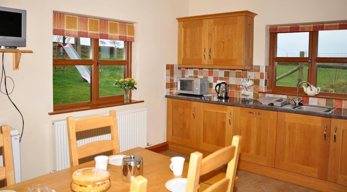 Aberystwyth Cottages - Dinas Buitenkant foto