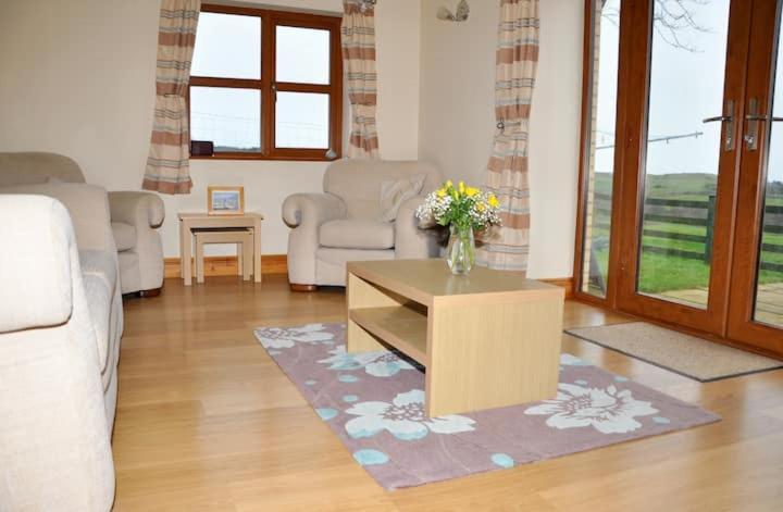 Aberystwyth Cottages - Dinas Buitenkant foto